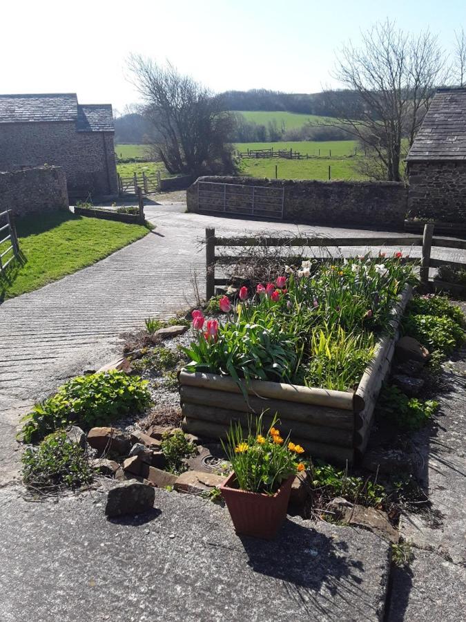 Sharlands Farm Bed And Breakfast Bude Esterno foto